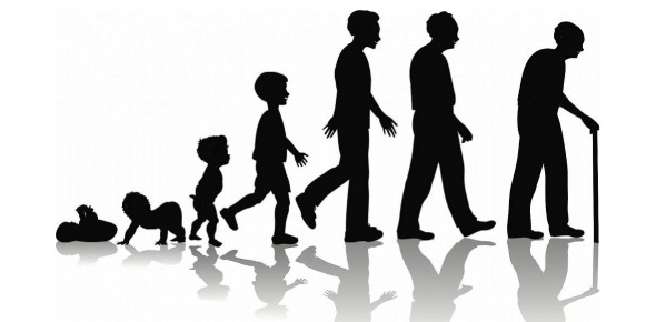 Psychology Development