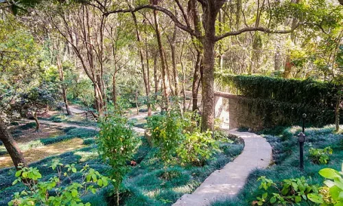 Reconnecting with What Matters: Values-Based Resolutions